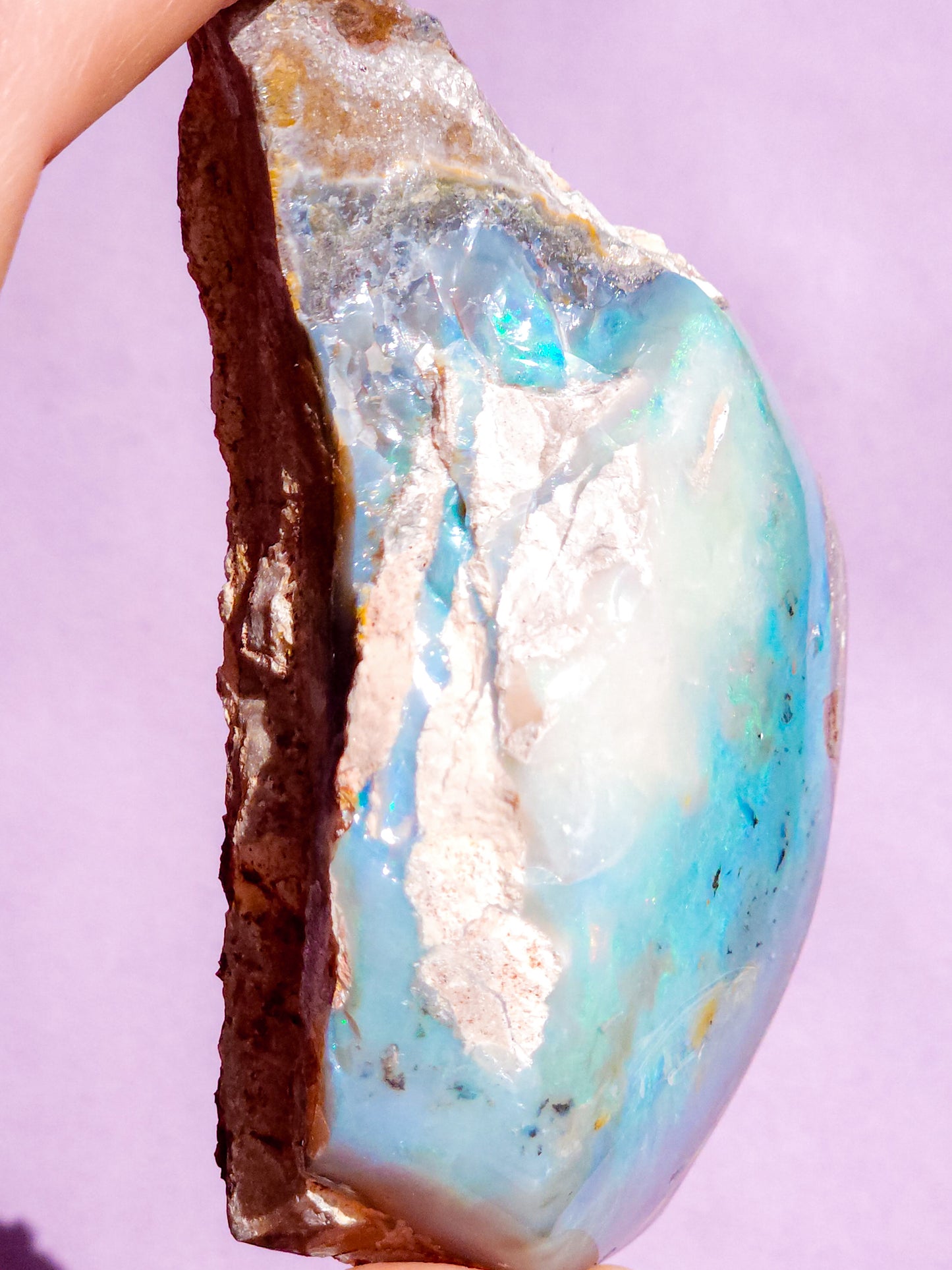 Coober Pedy Opal Specimen 517 Carats, Polished Opal Specimen, Opal Collector