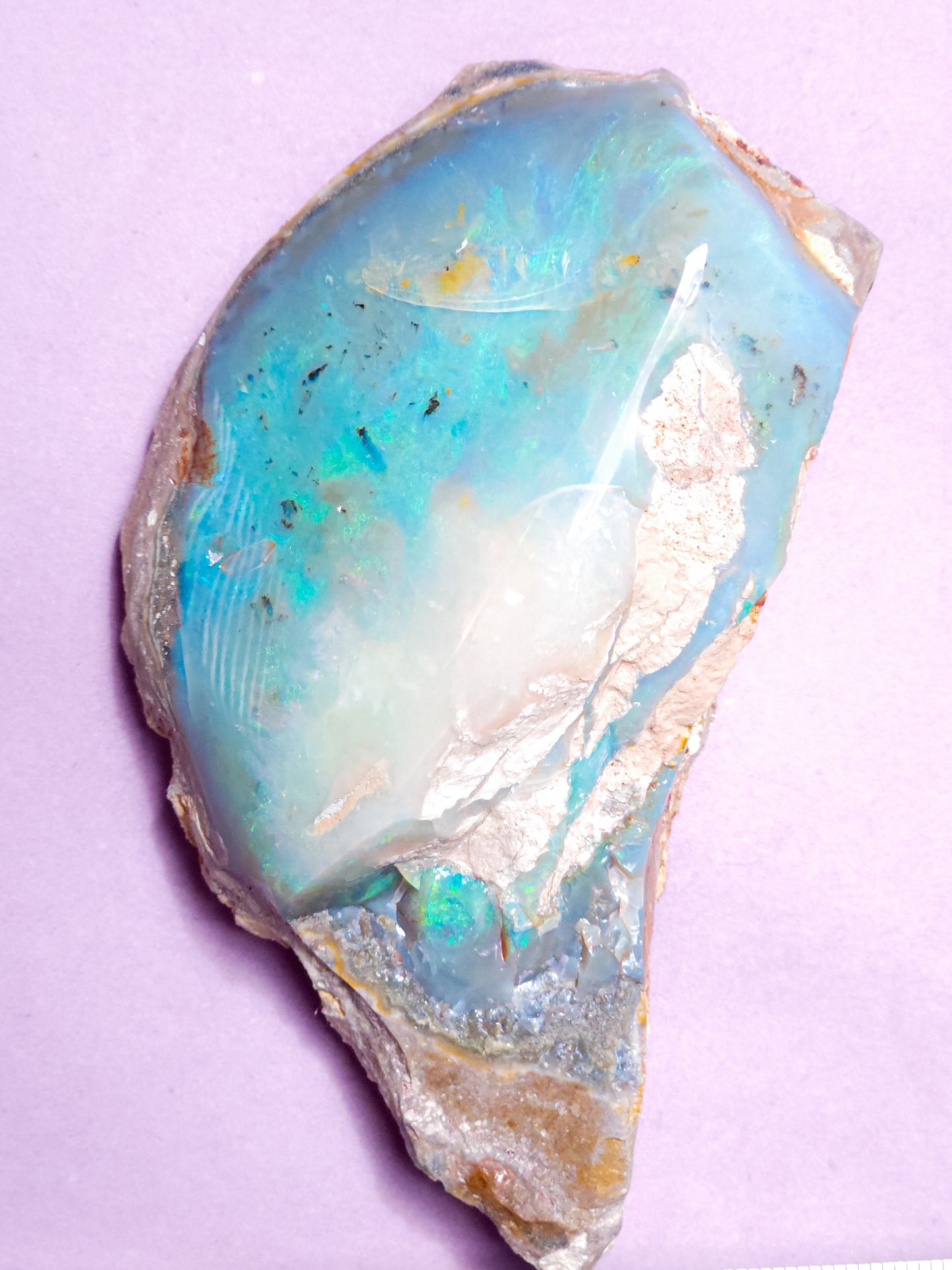 Coober Pedy Opal Specimen 517 Carats, Polished Opal Specimen, Opal Collector