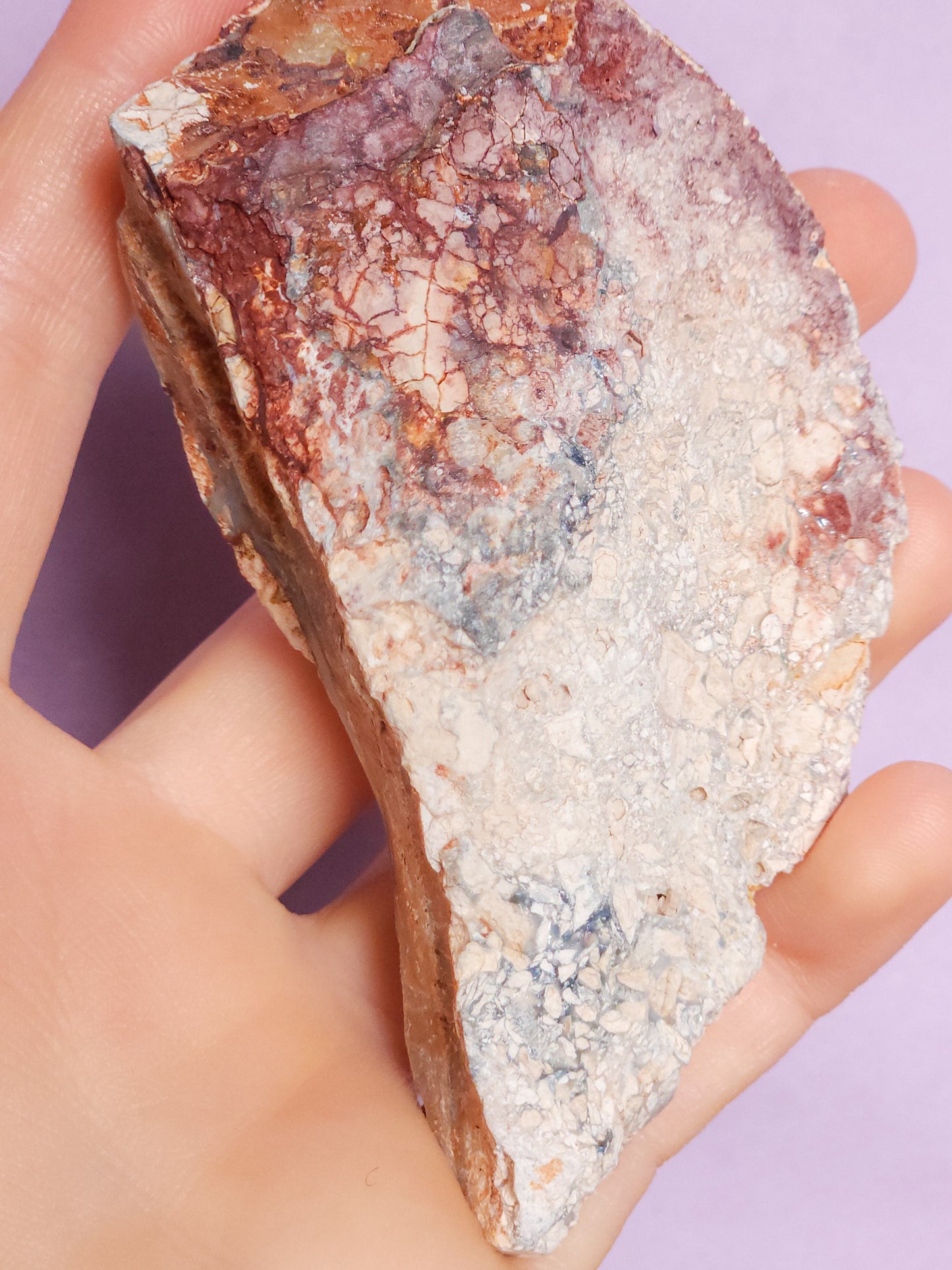 Coober Pedy Opal Specimen 517 Carats, Polished Opal Specimen, Opal Collector