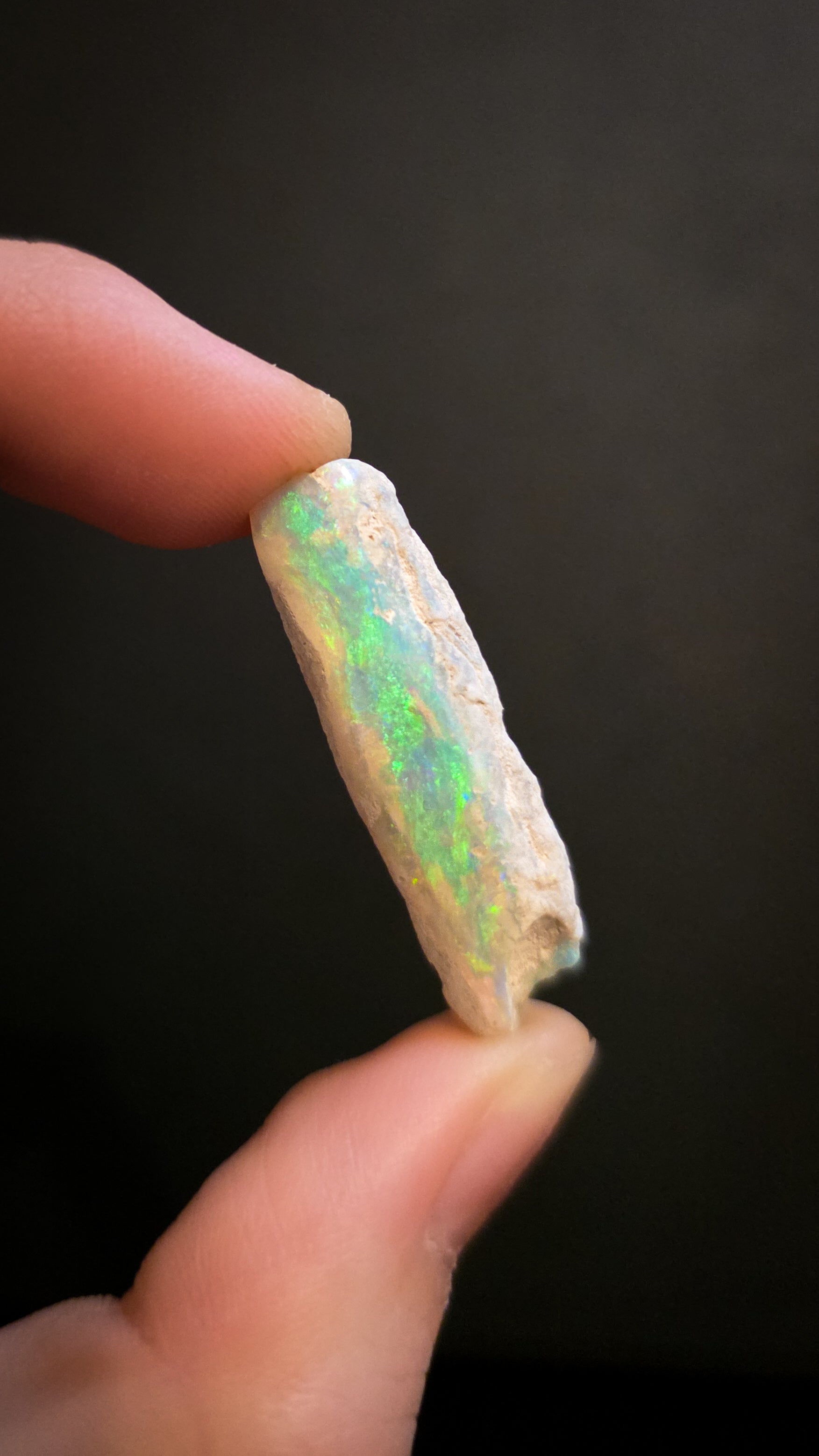 Australian Crystal Opal Belemnite Fossil, 14 Carats