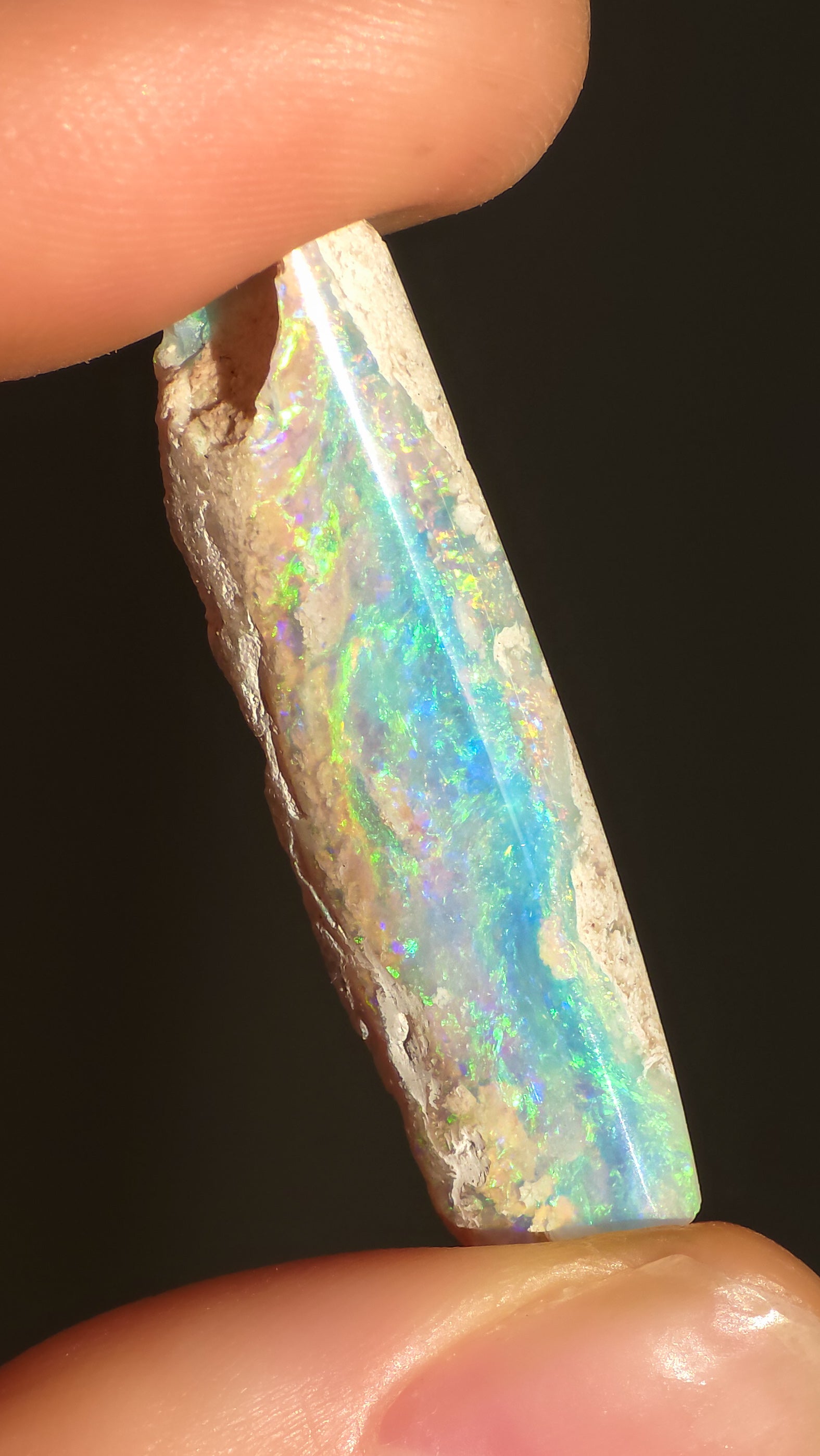 Australian Crystal Opal Belemnite Fossil, 14 Carats