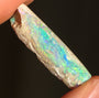 Australian Crystal Opal Belemnite Fossil, 14 Carats