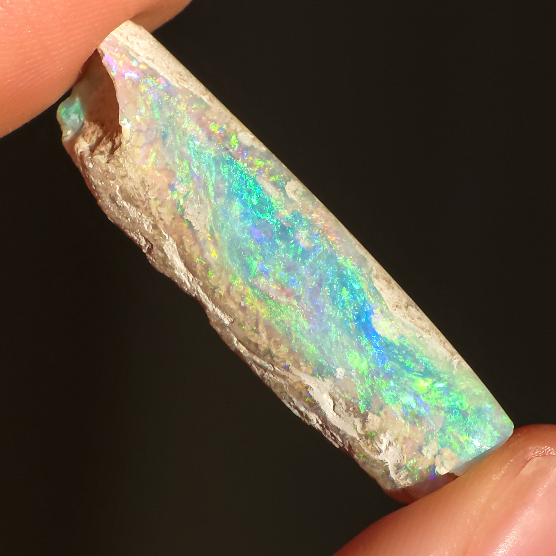 Australian Crystal Opal Belemnite Fossil, 14 Carats