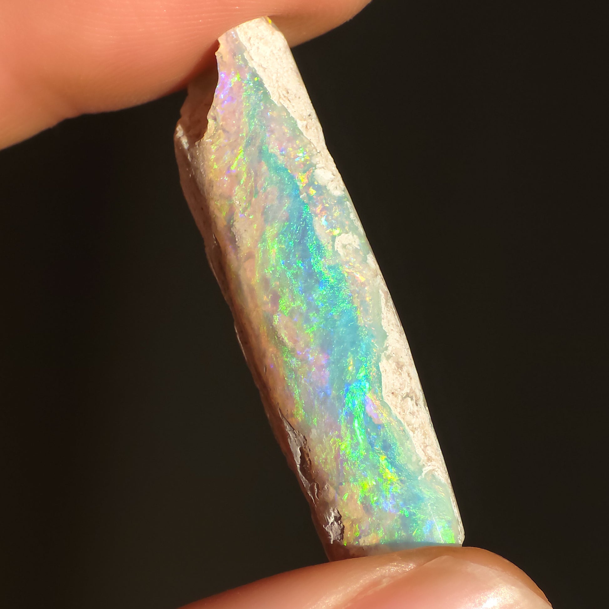 Australian Crystal Opal Belemnite Fossil, 14 Carats