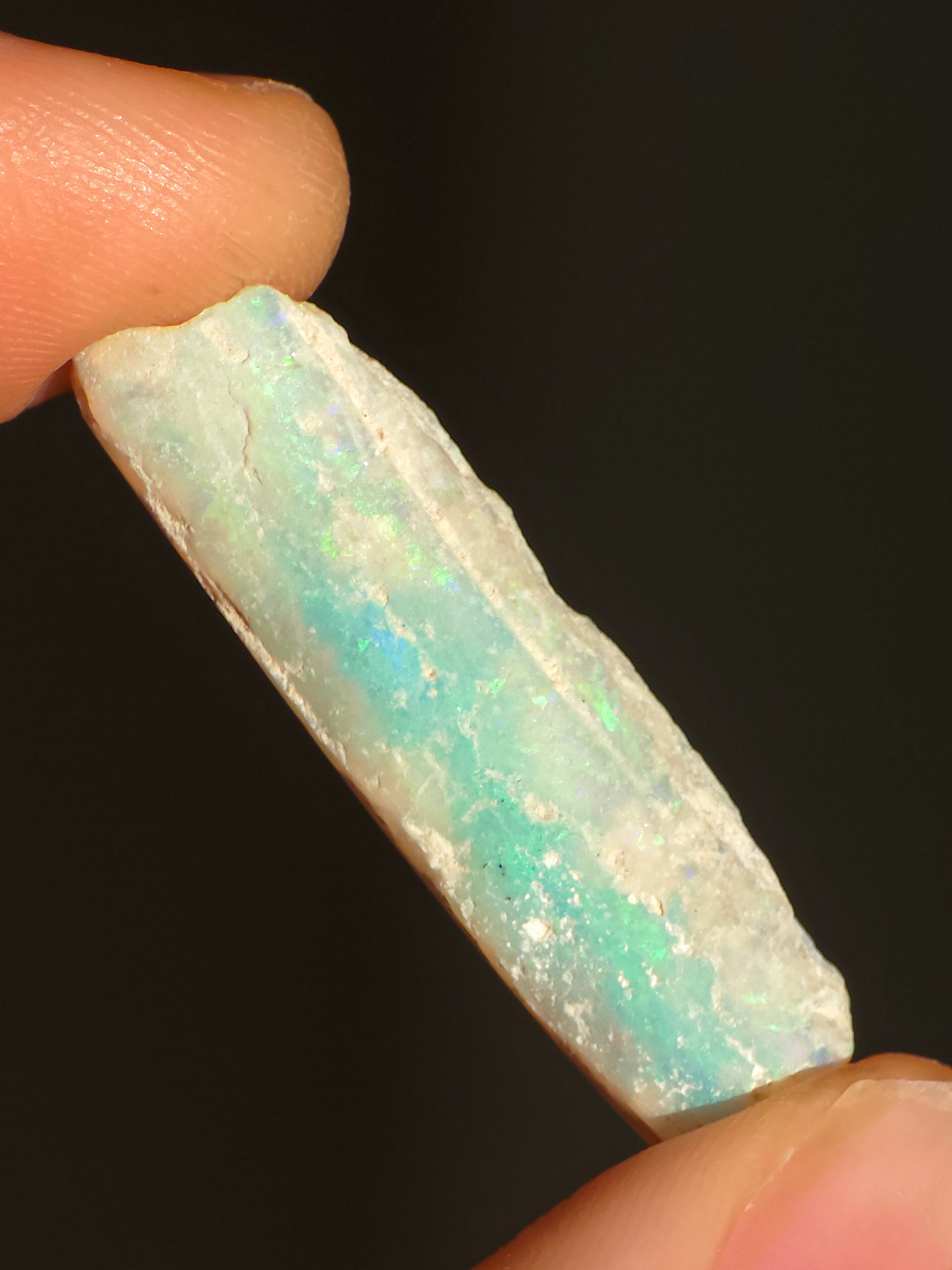 Australian Crystal Opal Belemnite Fossil, 14 Carats
