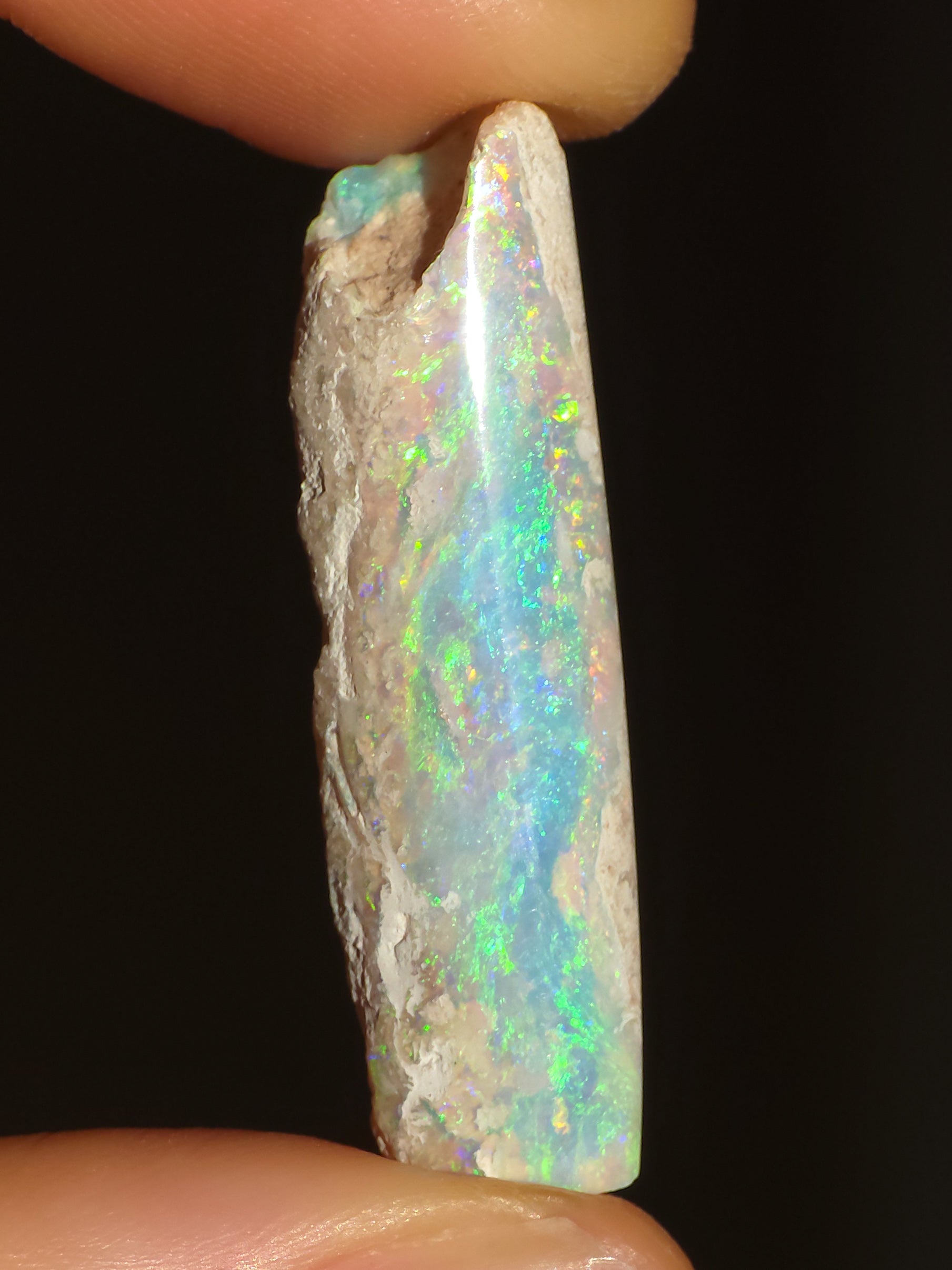 Australian Crystal Opal Belemnite Fossil, 14 Carats