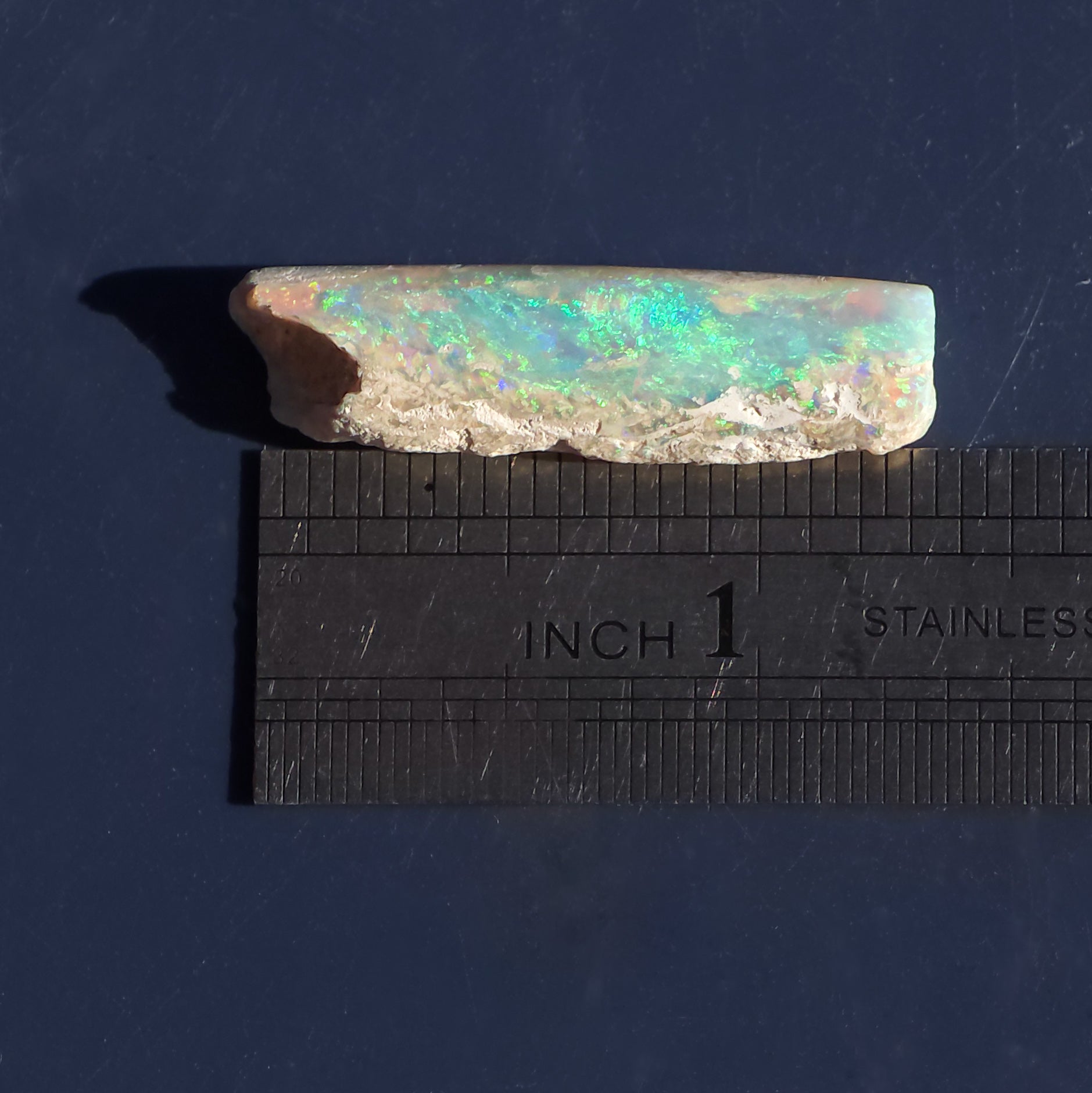 Australian Crystal Opal Belemnite Fossil, 14 Carats